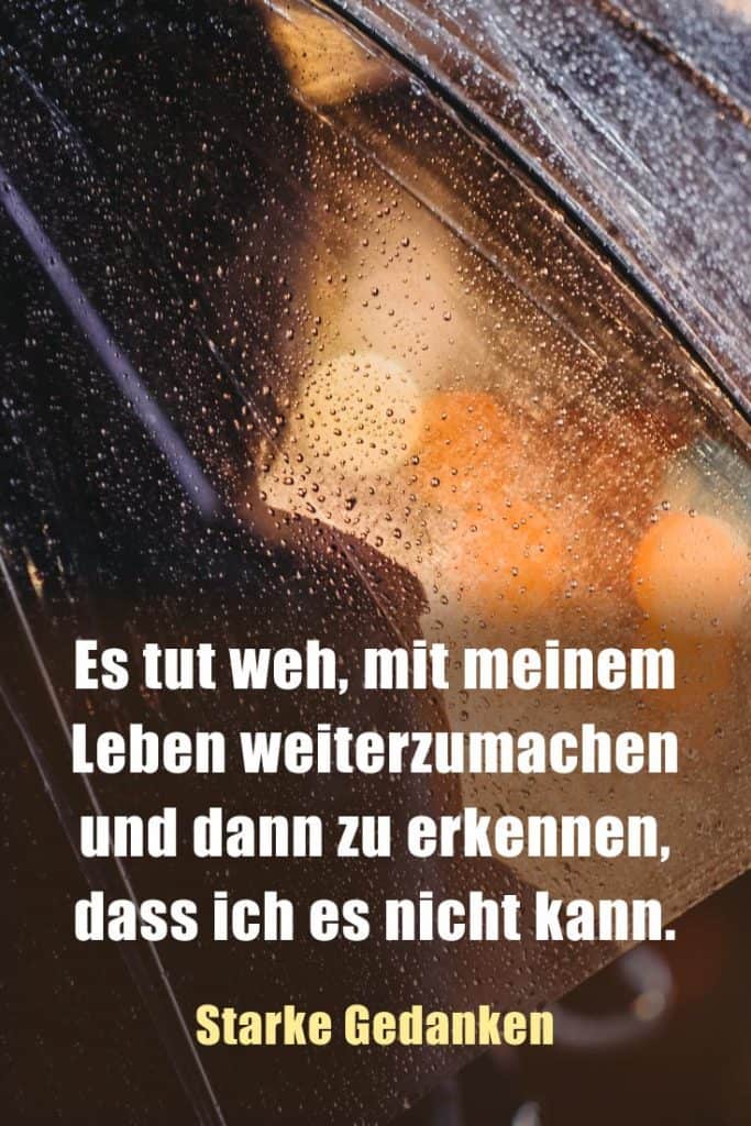Ich Liebe Dich Obwohl Du Seise Bist
