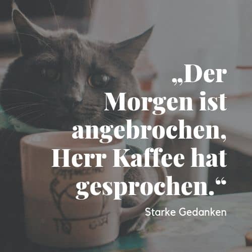 Guten Morgen Spruche 160 Spruche Fur Einen Guten Morgen