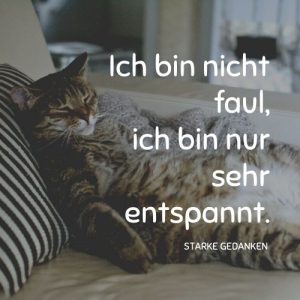 Lustige Sprüche 280 Sprüche und Zitate, die alle zum Lachen bringen