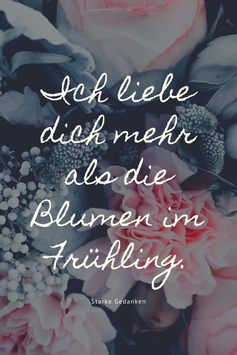 Ich liebe dich über alles 97+ Sprüche und Zitate für deinen Schatz