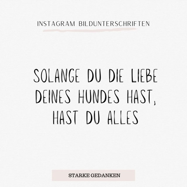 181+ Instagram Bildunterschriften für jede Gelegenheit