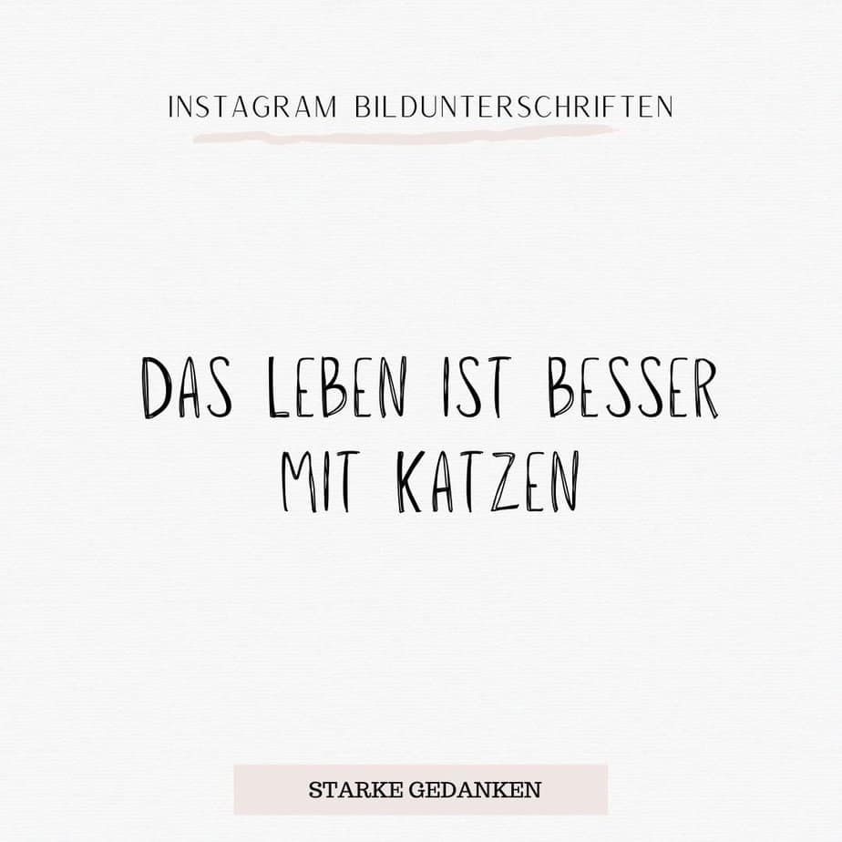 181+ Instagram Bildunterschriften für jede Gelegenheit