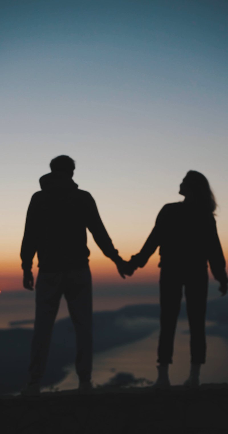 Silhouette of a Couple Standing Outdoors While Holding Each Other's Hands Free Stock Video Footage, Royalty-Free 4K & HD Video Clip Silhouette of a Couple Standing Outdoors While Holding Each Other's Hands Free Stock Video Footage, Royalty-Free 4K & HD Video Clip